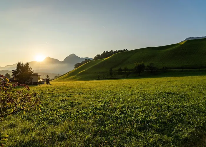 Mid Mountain Tirol * 韦兴